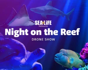 SEA LIFE Melbourne Aquarium Drone Show